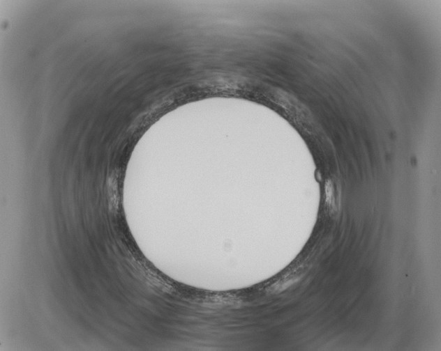 X0000086001203200704201823