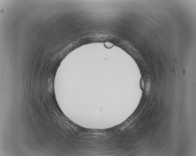 X0000086001204200704201823