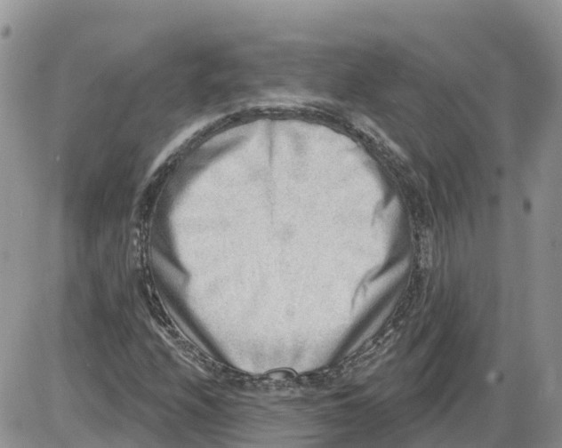 X0000086001208200704201823