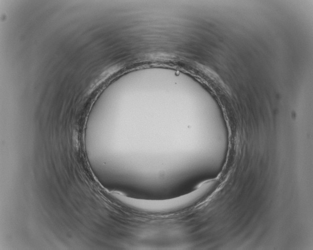 X0000086001209200704201823