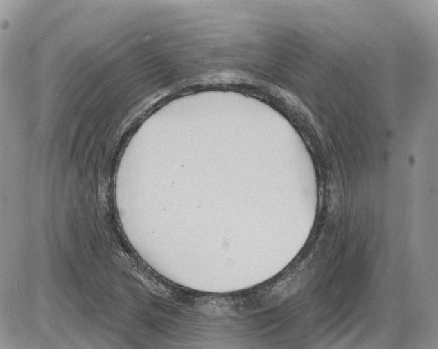 X0000086001217200704201823