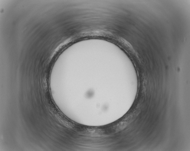 X0000086001218200704201823