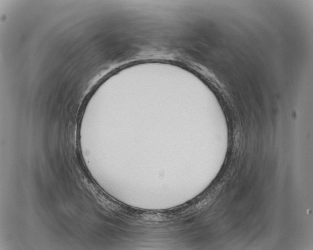 X0000086001220200704201823