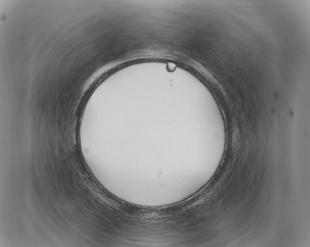 X0000086001222200704201823