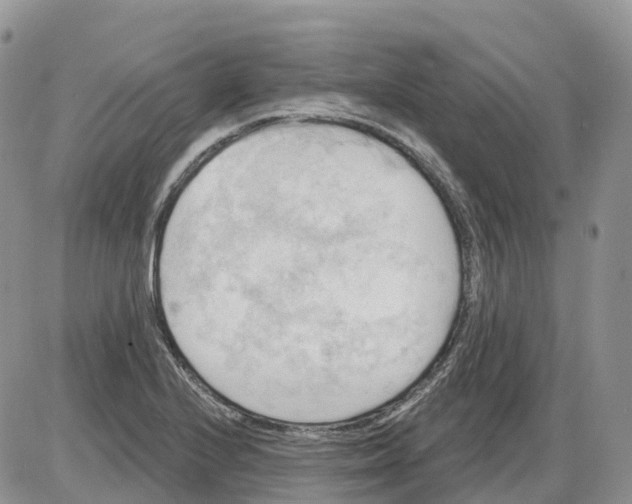 X0000086001224200704201823