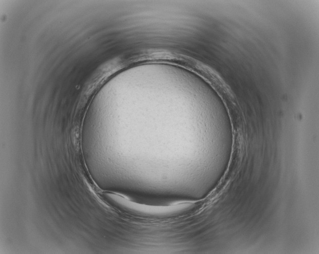 X0000086001225200704201823