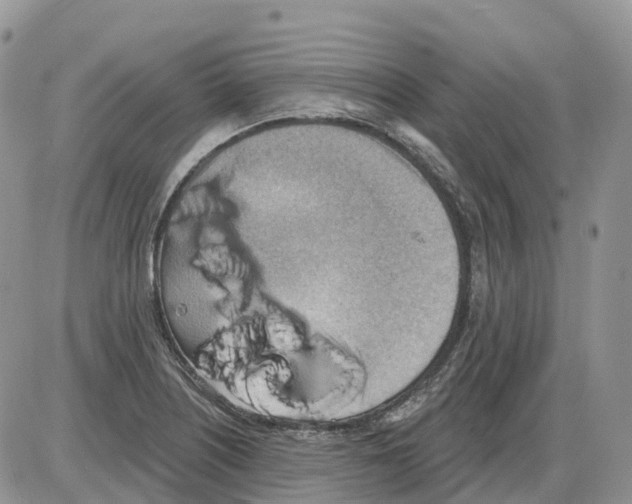 X0000086001226200704201823