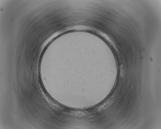 X0000086001229200704201823