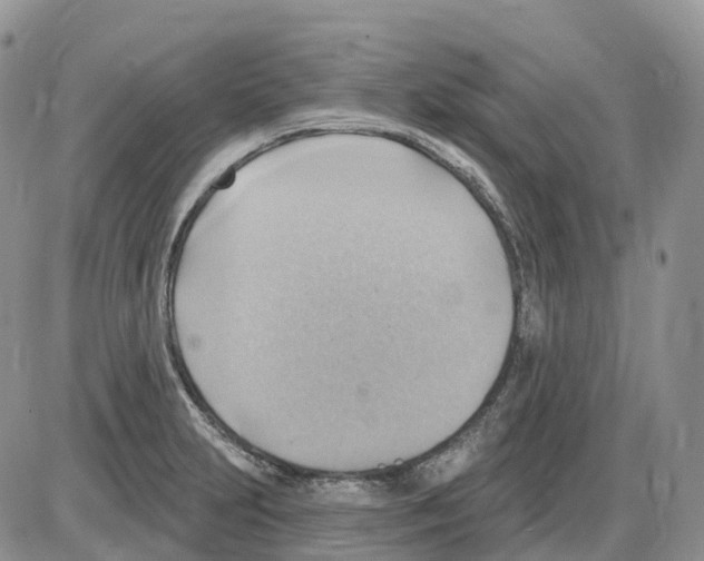 X0000086001231200704201823