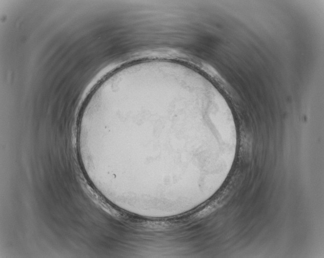 X0000086001232200704201823