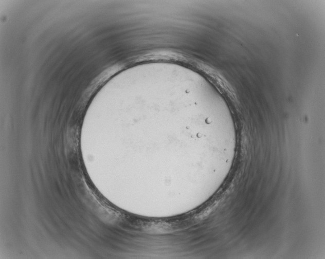 X0000086001233200704201823