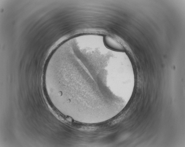 X0000086001237200704201823