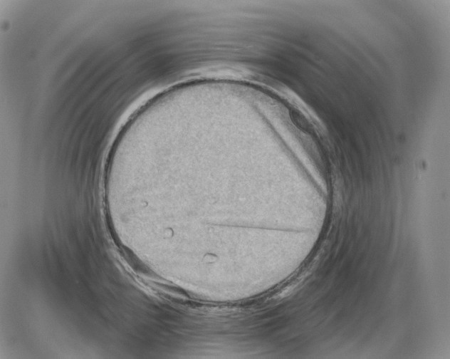 X0000086001240200704201823