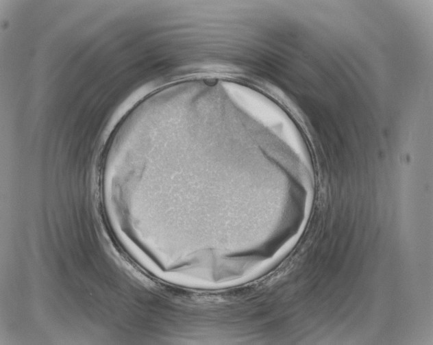 X0000086001243200704201823