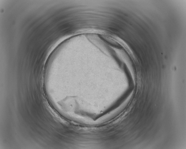 X0000086001244200704201823