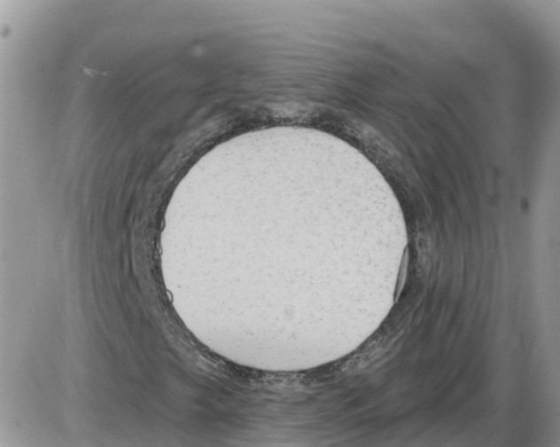 X0000086001249200704201823