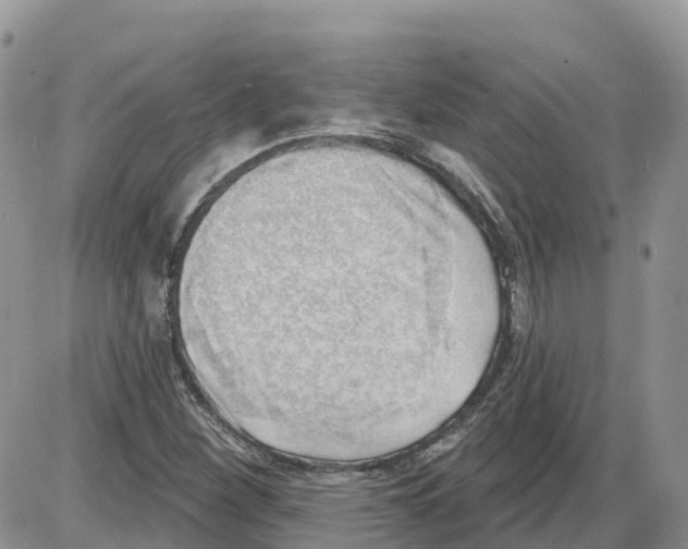 X0000086001260200704201822