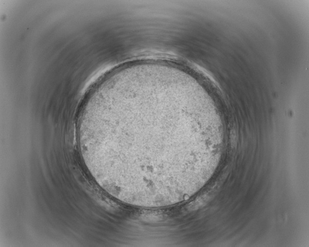 X0000086001267200704201822