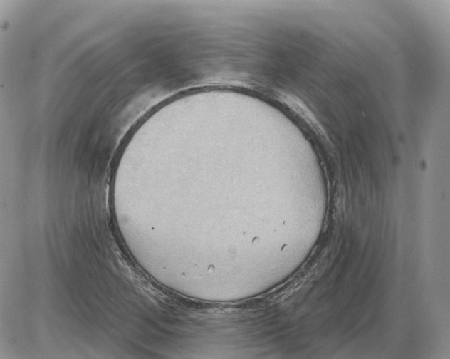 X0000086001268200704201822