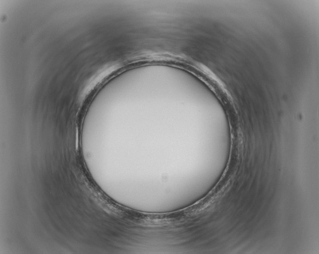 X0000086001269200704201822