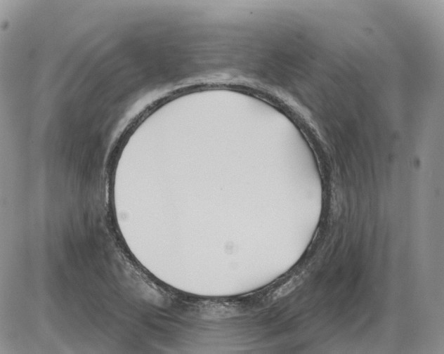 X0000086001270200704201822