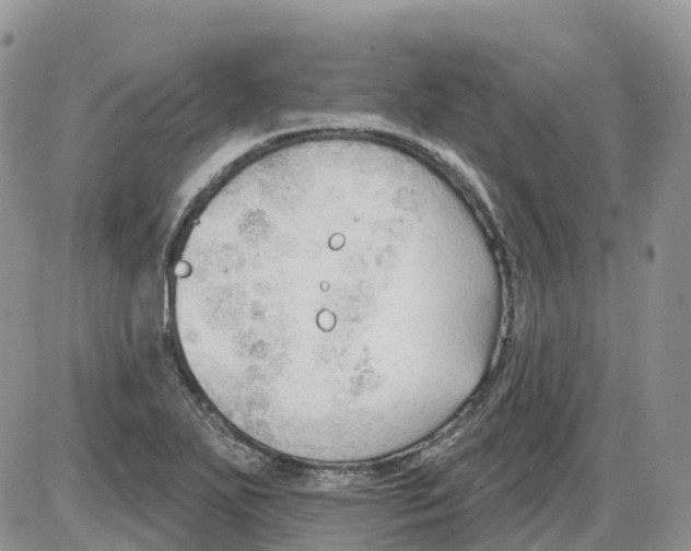 X0000086001271200704201822