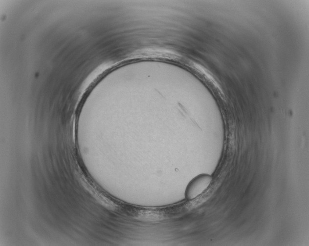 X0000086001275200704201822