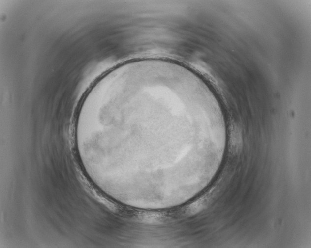 X0000086001278200704201822