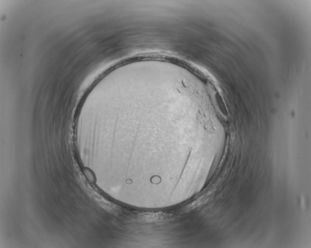 X0000086001279200704201822