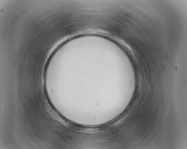 X0000086001280200704201822