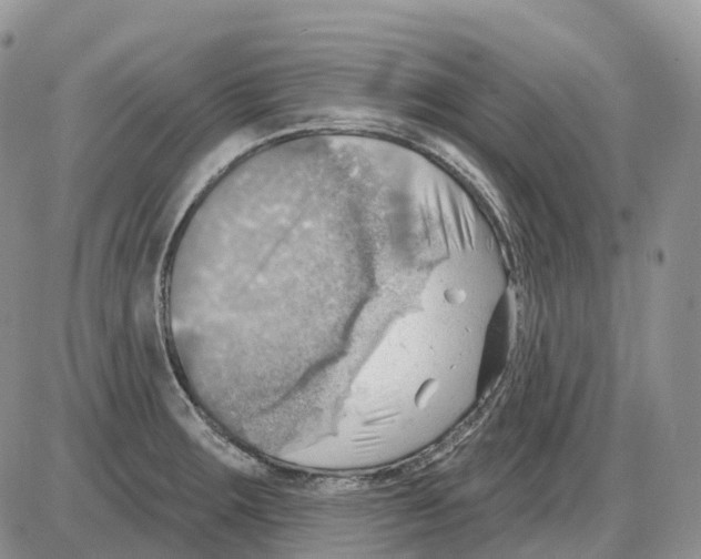 X0000086001283200704201822