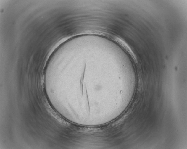 X0000086001284200704201822