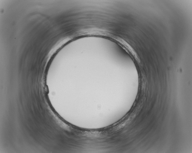 X0000086001285200704201822