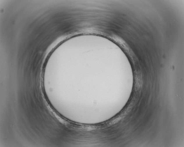 X0000086001286200704201822