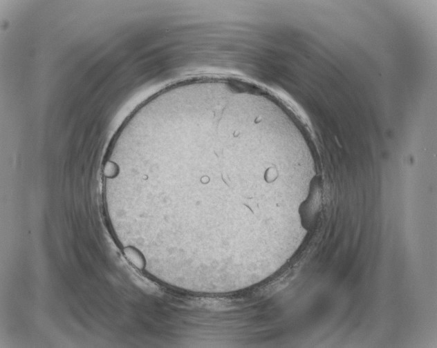 X0000086001287200704201822