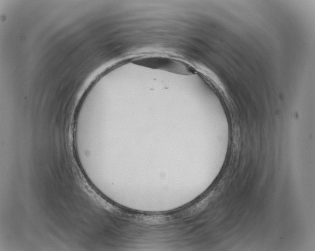 X0000086001288200704201822