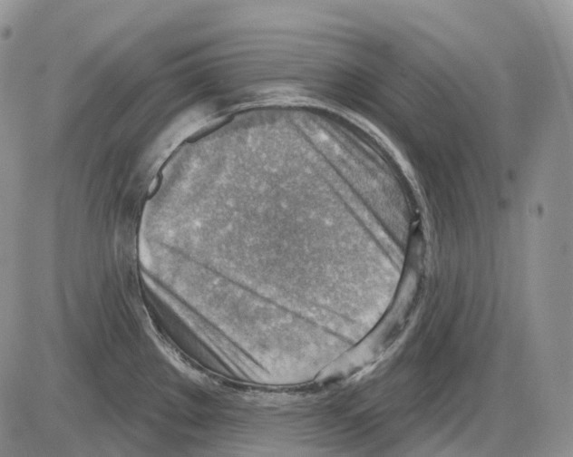 X0000086001289200704201822