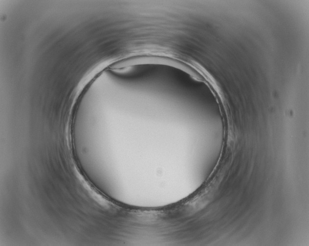 X0000086001293200704201822