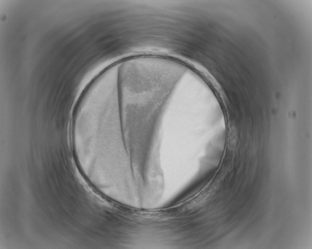 X0000086001295200704201822