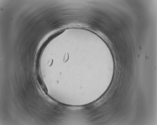 X0000086001296200704201822