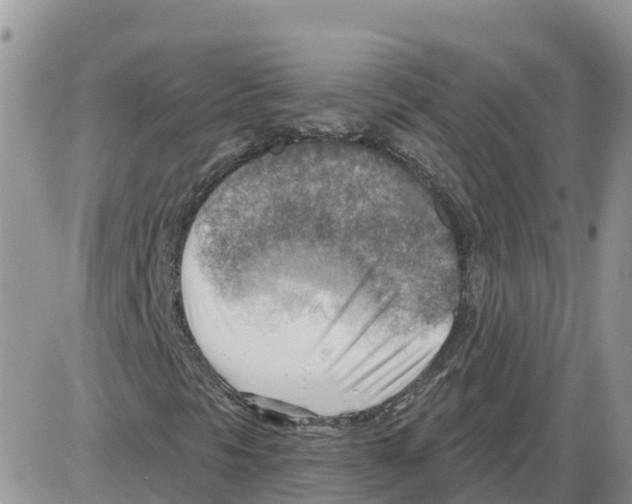 X0000086001297200704201821