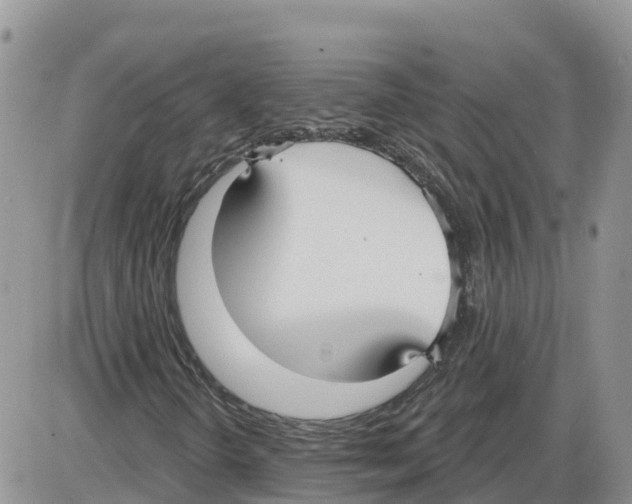 X0000086001298200704201821