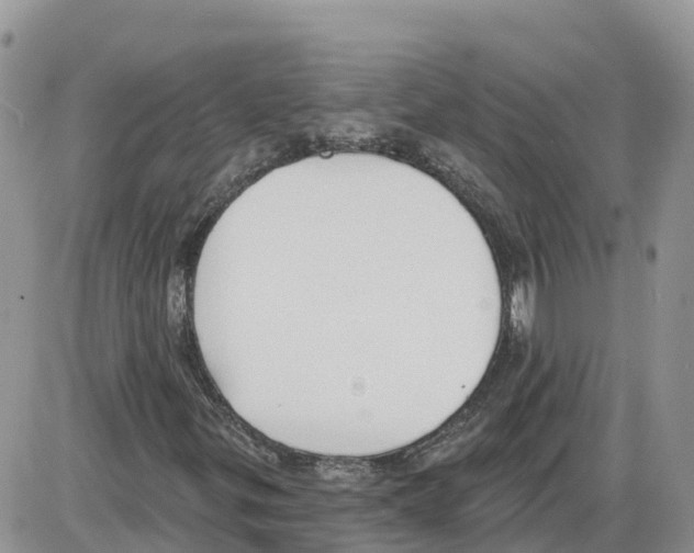 X0000086001299200704201821