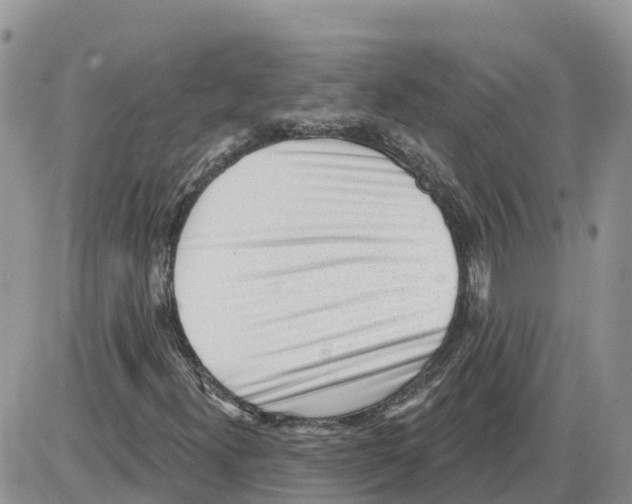 X0000086001300200704201821