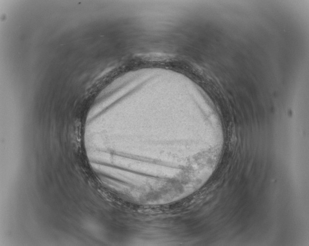 X0000086001301200704201821