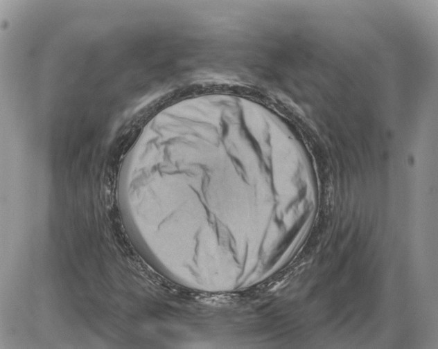 X0000086001303200704201821