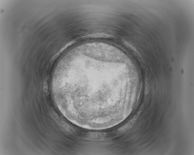 X0000086001305200704201821