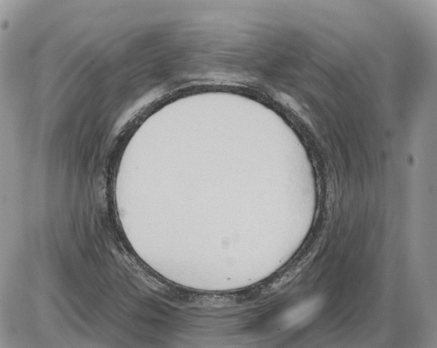 X0000086001307200704201821