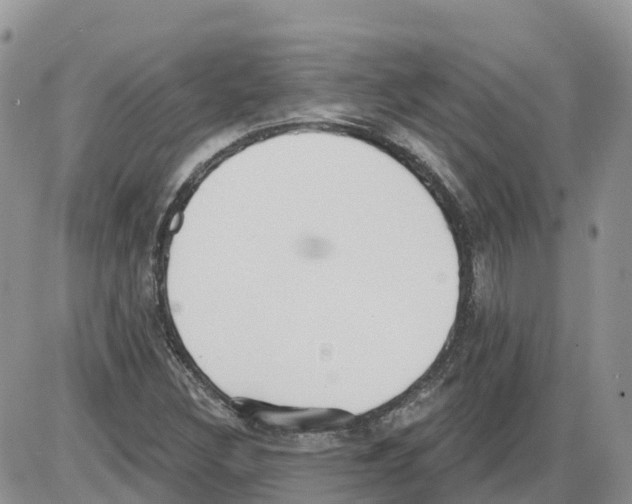 X0000086001308200704201821