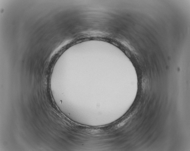 X0000086001309200704201821